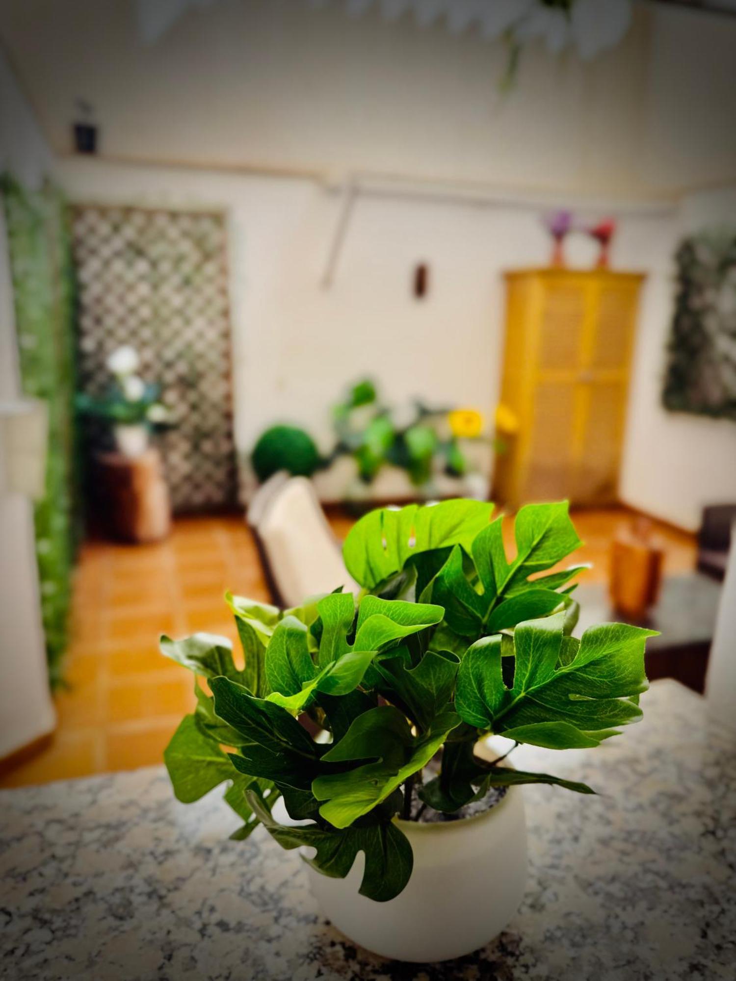 Centrico Apartamento Con Parking Гранада Экстерьер фото